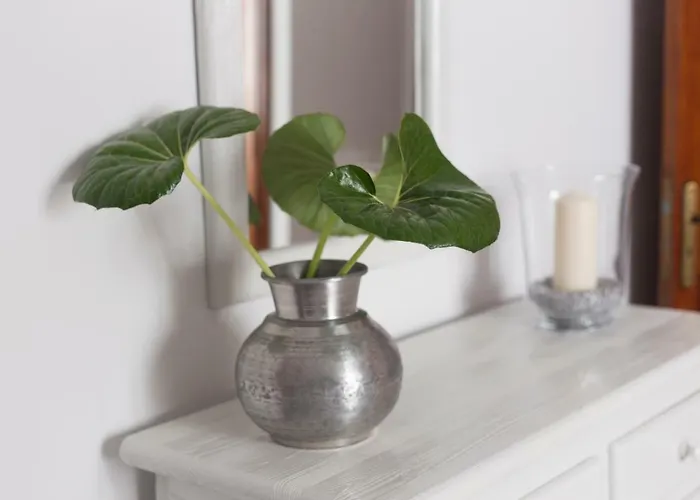 Playa Coqueto Junto Al Mar Apartamento *